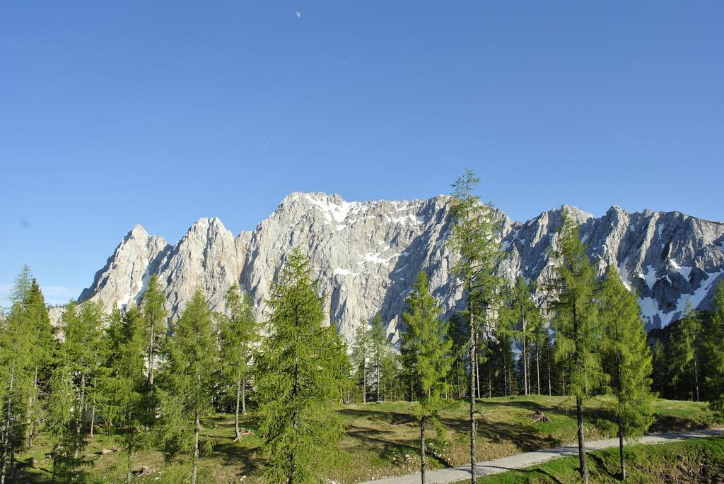 Bed&Breakfast Lausegger Ферлах Экстерьер фото