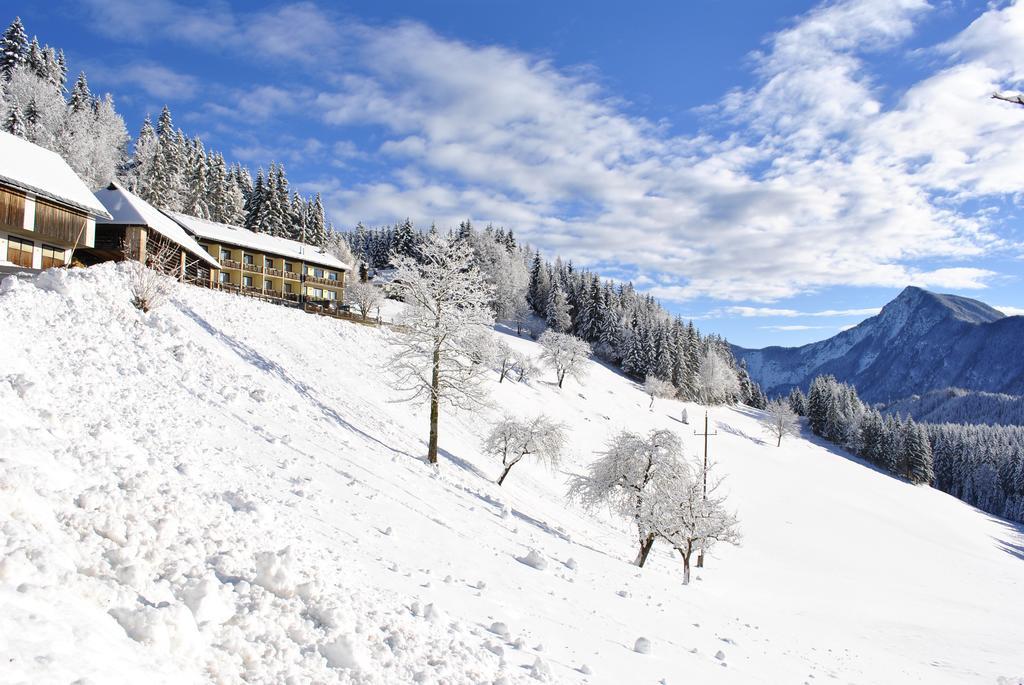 Bed&Breakfast Lausegger Ферлах Экстерьер фото